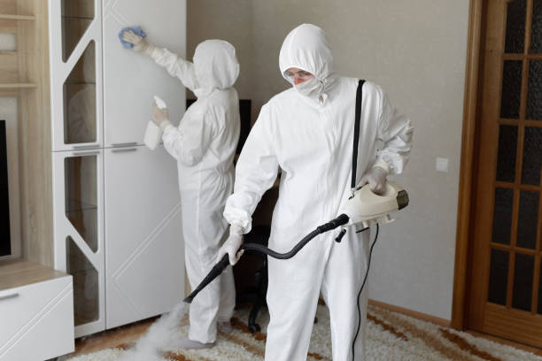 Best Post-Flood Mold Remediation in Tukwila, WA