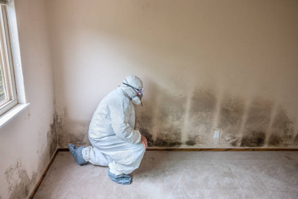 HVAC Mold Remediation